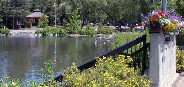 Mill Pond pond